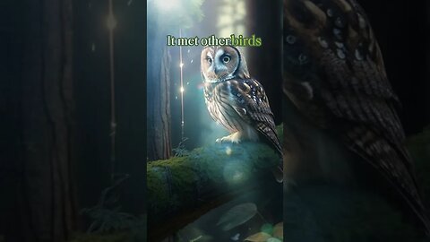 Motivational Short Story of the Owl