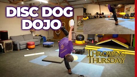 Throwing Thursday: Antonis Co-Hosts, QUAD Prep & Wind Wisdom | DiscDog Dojo #140 🐶🥏🥋🌬️