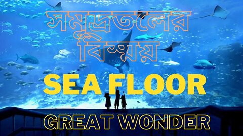 Sea Floor Great Wander [সমুদ্রতলের বিস্ময়]