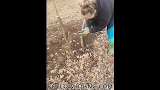 Teaching My Sister How to Remove Small Trees