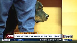 Las Vegas City Council votes to repeal 'Puppy Mill Ban'