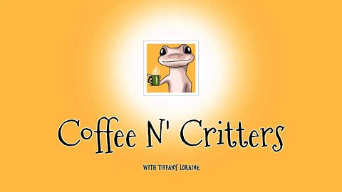 Welcome to Coffee N' Critters