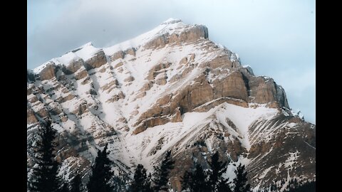 Nature and Drone