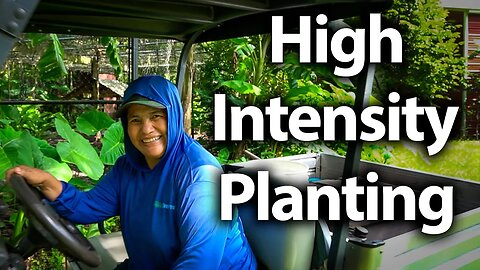 Employee Food Forest Tour! She fit so many plants in a small space! 🌱🌹🌳