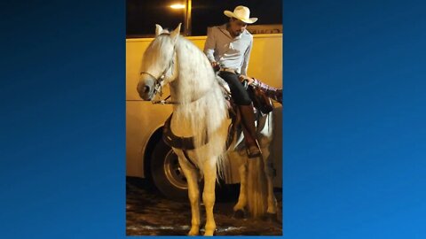 How Awesome Is It To See Cowboys And Horses In The Streets in Puerto Vallarta