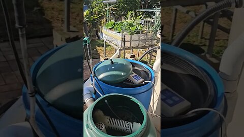 From Aquaponics to Aquaculture With the Twist of a Valve #backyardaquaponics