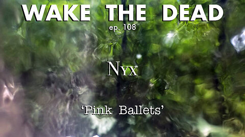 WTD ep.108 Nyx 'Pink Ballets'