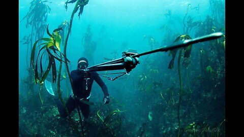 Spearfishing UK - South Devon