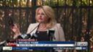 Mayor Pro Tem Michele Fiore responds to criticism