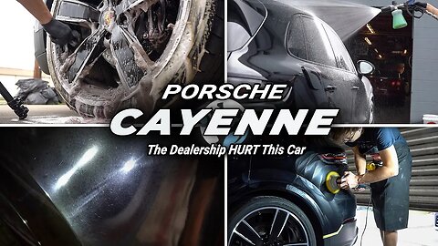 Porsche Cayenne | The Dealership Paint-Special, Saved & Coated | Needed A LOT of Work!