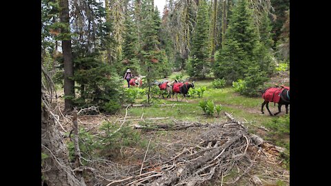 Fishing Trinity Alps. Wilderness Northern Ca.