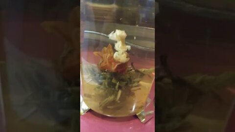 3-Bursting Flowers Herbal Tea | Salvador Dali | Milkyy-Media