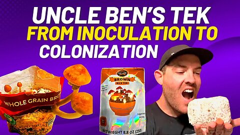 Mushrooms with Uncle Ben’s Tek!! (Inoculation to colonization) Grow mushroom with uncle bens rice.