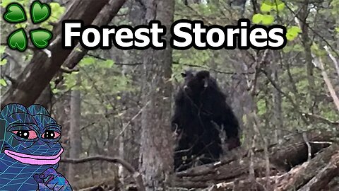 4Chan Scary Stories :: 2 Short Forest Stories