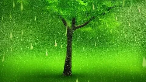 "Rainy Days & Stress-Free Ways: How Rain Can Wash Away Your Worries"