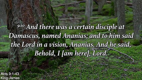 Sunday Evening, July 30th - The Good Man, Ananias