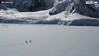 Gletscheres magiske frysende skønhed