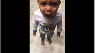 Kid has temper tantrum over mashed potatoes