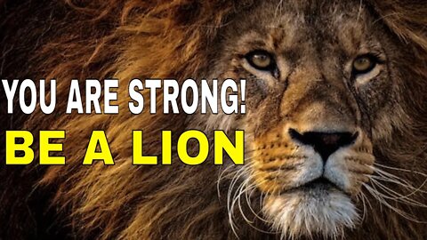 BE A LION : DAILY MOTIVATION