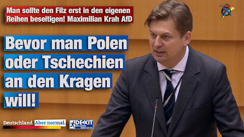 Man sollte den Filz erst in den eigenen Reihen beseitigen! Maximilian Krah AfD