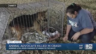 Arizona rescue community remembers Adrienna Ayala as dedicated, relentless advocate for animals