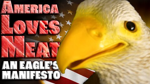 AMERICA LOVES MEAT! A Bald Eagle’s Manifesto (Carnivore Diet)