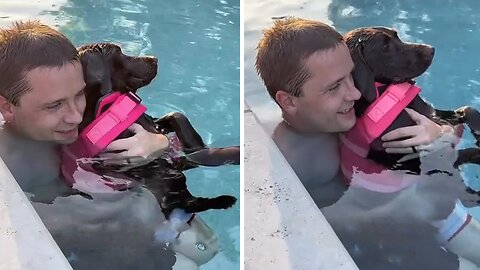 Pool-loving Pup Can't Get Enough Of Swimming