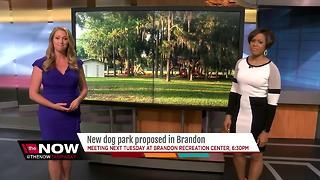 New dog park proposed in Brandon