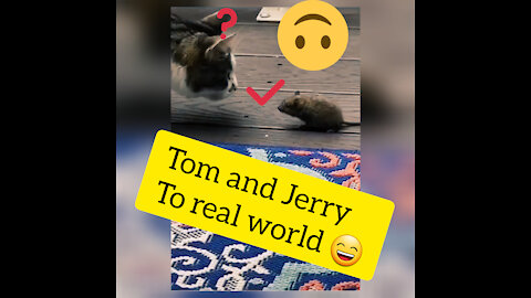 Tom and Jeery to real world 👌👌