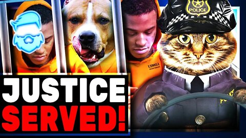 The MONSTERS Have Been Arrested! We Did It! Felony Charges Have Been Filed! Buddy The Cat Revenge!