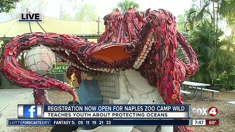 Naples Zoo features art exhibit to educate about ocean pollution
