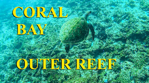 Coral Bay outer reef - Ep 21
