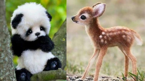 THE WORLD'S TOP 10 CUTEST WILD BABY ANIMALS