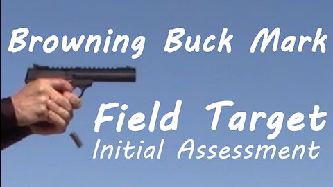 Browning Buck Mark Field Target Initial Assessment