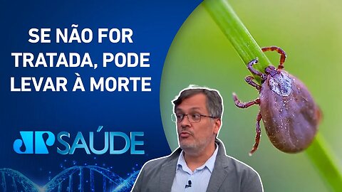 Febre maculosa: Uma doença infecciosa transmitida através da picada do carrapato-estrela | JP SAÚDE