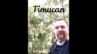 Timucuan Ecological and historic sight