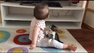 Kitten tries to play with baby in tender scene