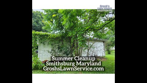 Summer Cleanup Smithsburg Maryland Landscaping Contractor