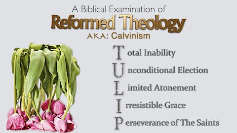 Reformed Theology - Part 1 - Introduction