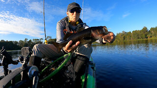 An Afternoon of Fishing