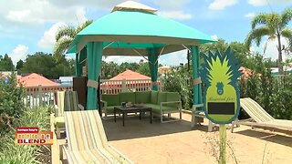 Busch Gardens | Morning Blend