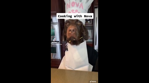 Chef Nova