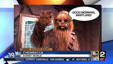Good morning from Chewbacca!
