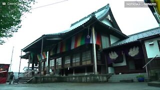 [TRANSLATE] - Este templo budista é bem moderno!