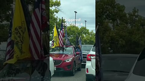 Rocklin CA - Triggered individual starts egging cars and backs into a car, then tries to flee.