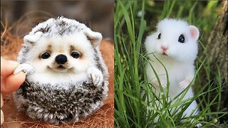 Cute baby animals Videos Compilation cute moment of the animals - Cutest Animals On Earth #3 (1)