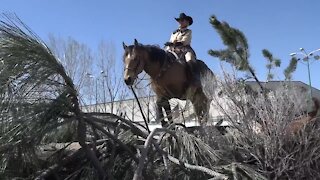 Competitive Mountain Trail Riding showcases the bond between riders and their horse