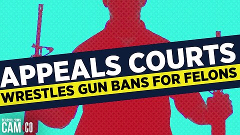 Appeals Courts Wrestle With Gun Bans For Felons