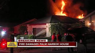 Overnight fire damages home in Palm Harbor
