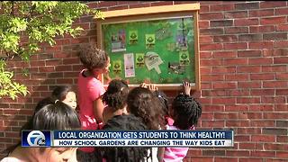 school gardens get kids in touch with their food